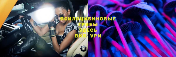 амф Заволжье