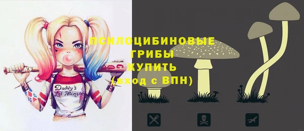 гашиш Заводоуковск